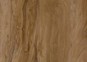 SPC Prime - Oak  History